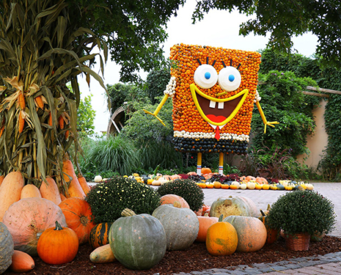 Bauerlipp_Kuerbisparadies