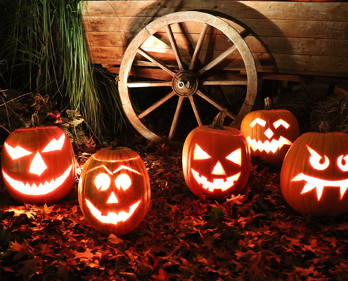 Bauerlipp_Kuerbisparadies2