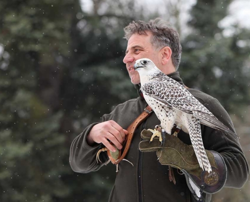 bioversum_Falkner-Winter