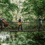 Wildes_Holz_foto_Sandy_Klein-1