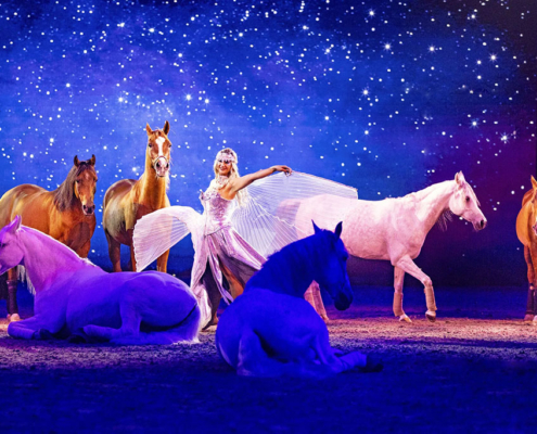 Cavalluna_03_Ein_Gefuehl_von_Freiheit