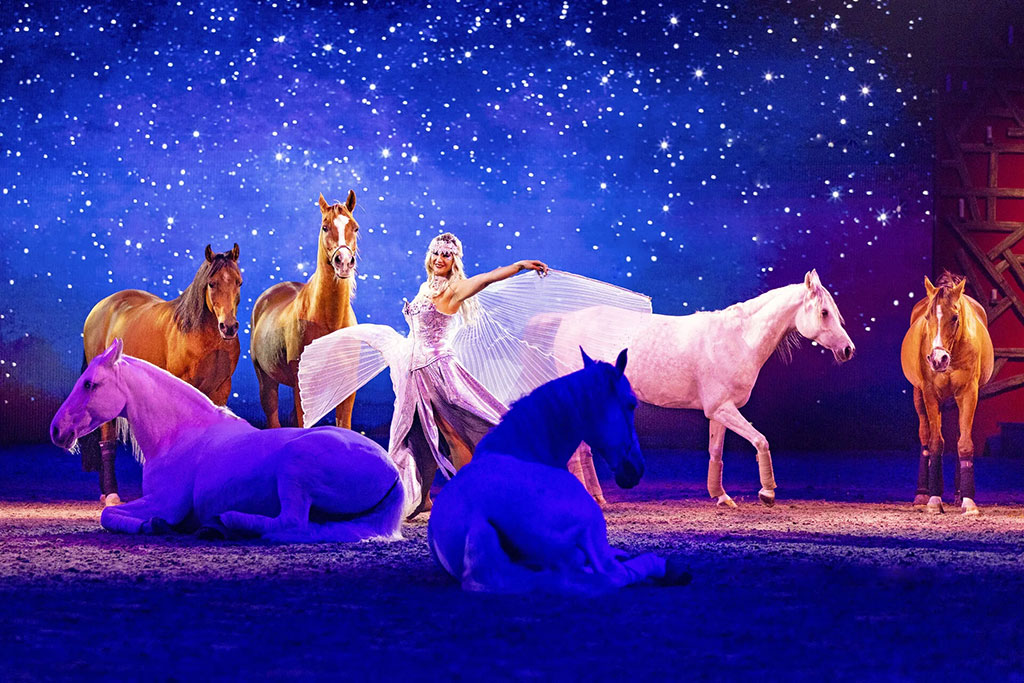 Cavalluna_03_Ein_Gefuehl_von_Freiheit