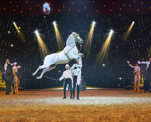 Cavalluna_07_Kapriole_der_Equipe_Valenca