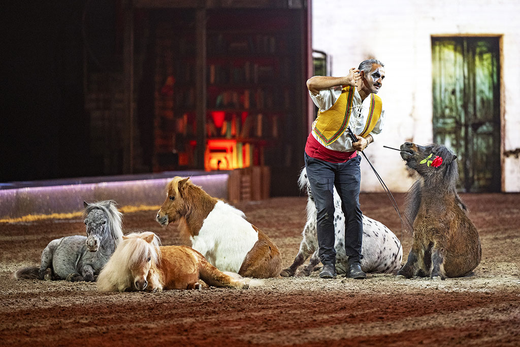 Cavalluna_08_Pony_Freiheit_von_Bartolo_Messina