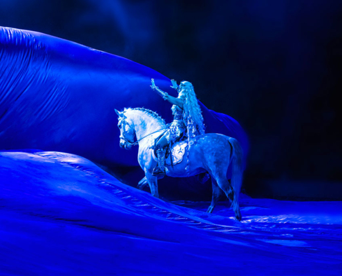 Cavalluna_10_Tuchnummer_von_Dajana_Pfeifer