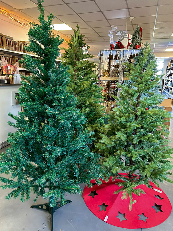 farbenkrauth-11-24-8